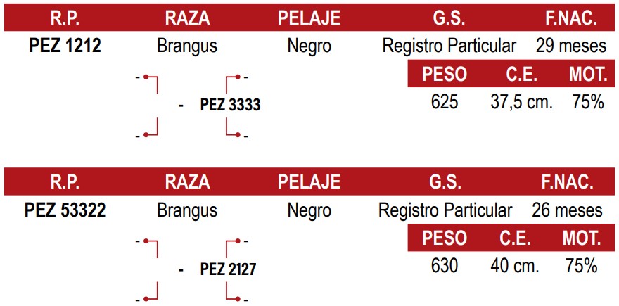 LOTE 26