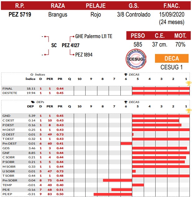 LOTE 27