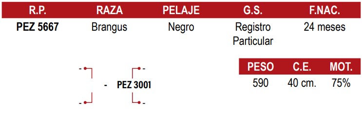 LOTE 39