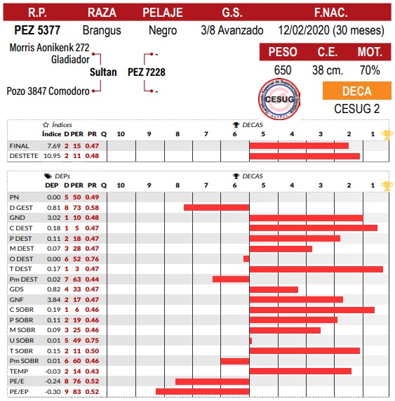 LOTE 41