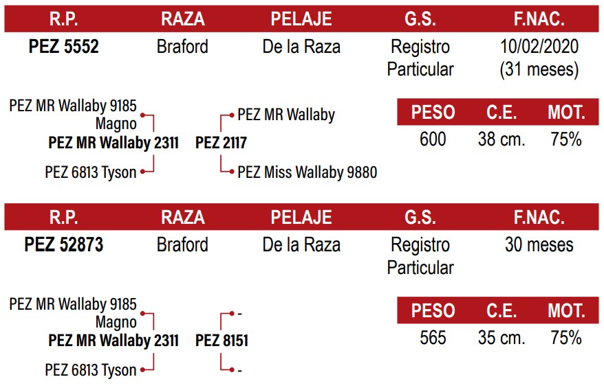 LOTE 46
