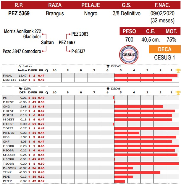 LOTE 47