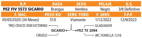 LOTE 07 // VAQUILLA BRANGUS