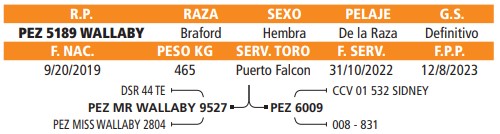 LOTE 08 // VAQUILLA BRAFORD