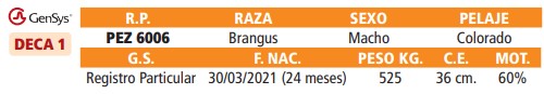 LOTE 46 // TOROS BRANGUS