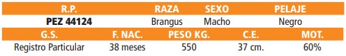 LOTE 60 //