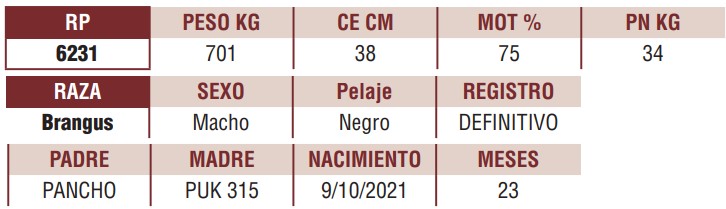 LOTE 04