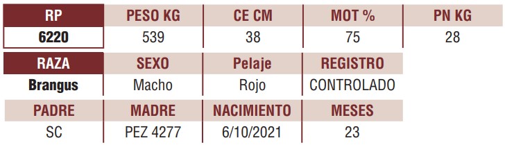 LOTE 11