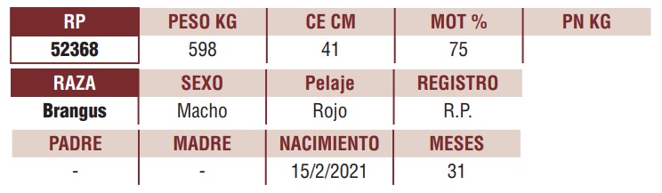 LOTE 16