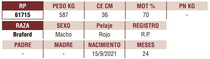 LOTE 26