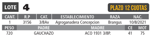 LOTE 04 // TORO BRANGUS