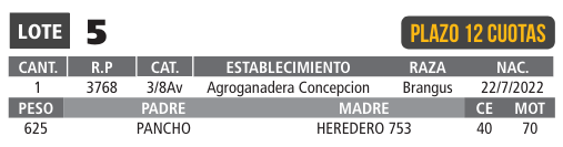 LOTE 05 // TORO BRANGUS