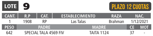 LOTE 09 // TORO BRAHMAN