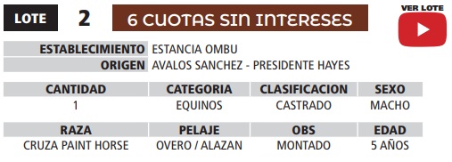 LOTE 02 // EQUINO