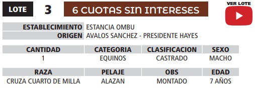 LOTE 03 // EQUINO