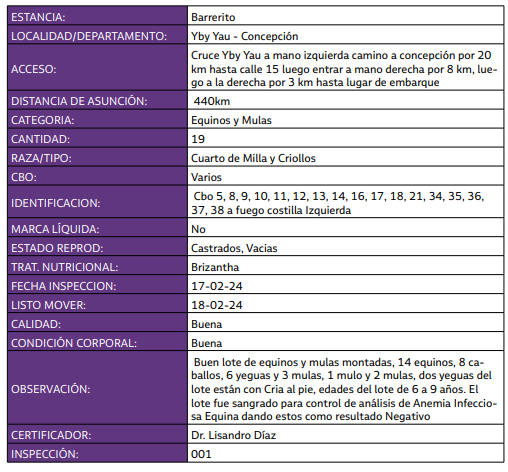 LOTE 01 // EQUINOS Y MULAS