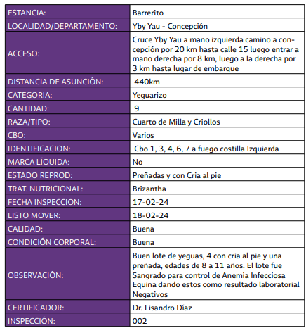 LOTE 02 // YEGUARIZO