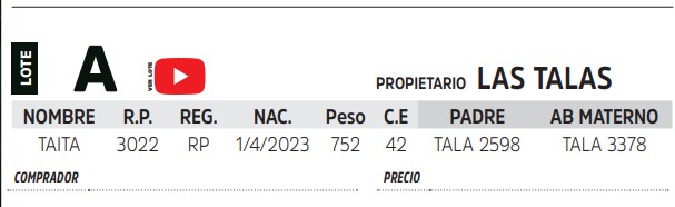 TOROS REPRODUCTORES LOTE A