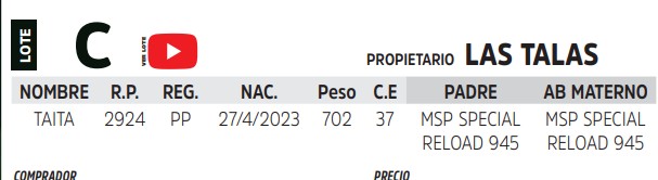 TOROS REPRODUCTORES LOTE C