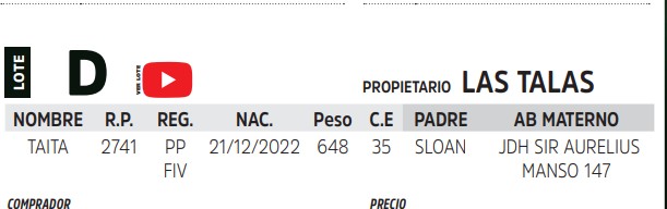 TOROS REPRODUCTORES LOTE D