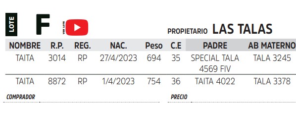 TOROS REPRODUCTORES LOTE F