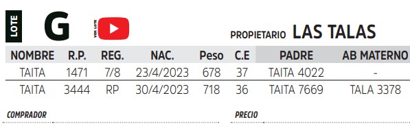 TOROS REPRODUCTORES LOTE G