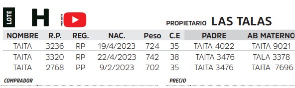 TOROS REPRODUCTORES LOTE H