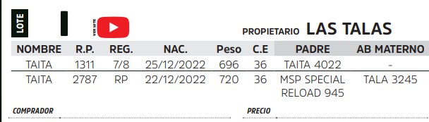 TOROS REPRODUCTORES LOTE I
