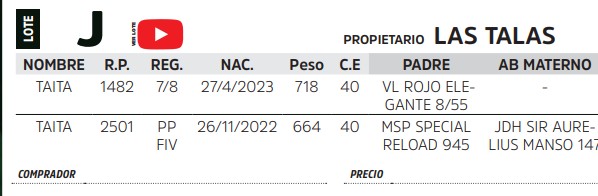 TOROS REPRODUCTORES LOTE J