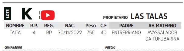 TOROS REPRODUCTORES LOTE K