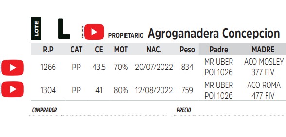 TOROS REPRODUCTORES LOTE L