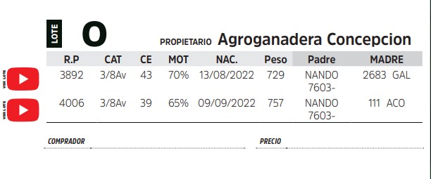 TOROS REPRODUCTORES LOTE O