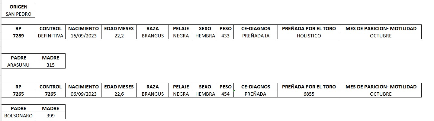 LOTE 16 - VAQUILLAS PREÑADAS REGISTRADAS