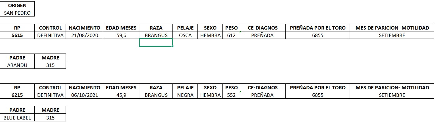 LOTE 14 - VAQUILLAS PREÑADAS REGISTRADAS