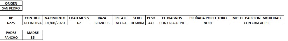 LOTE 10 - VACA C/ CRIA