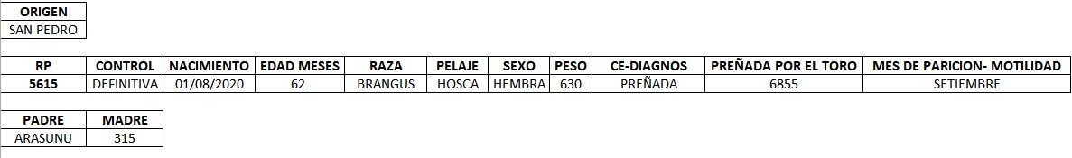 LOTE 12 - VACA PREÑADA