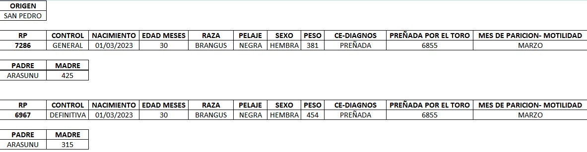 LOTE 15 - VACAS PREÑADAS