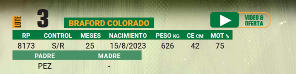 LOTE 03 - TORO BRAFORD