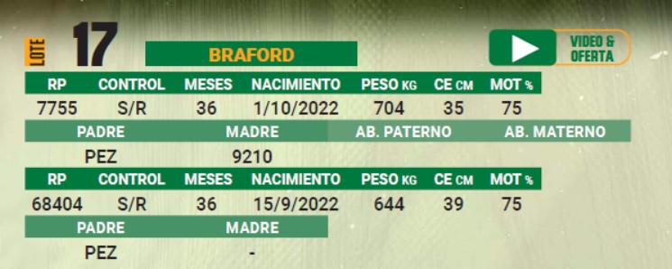 LOTE 17 - TORO BRAFORD