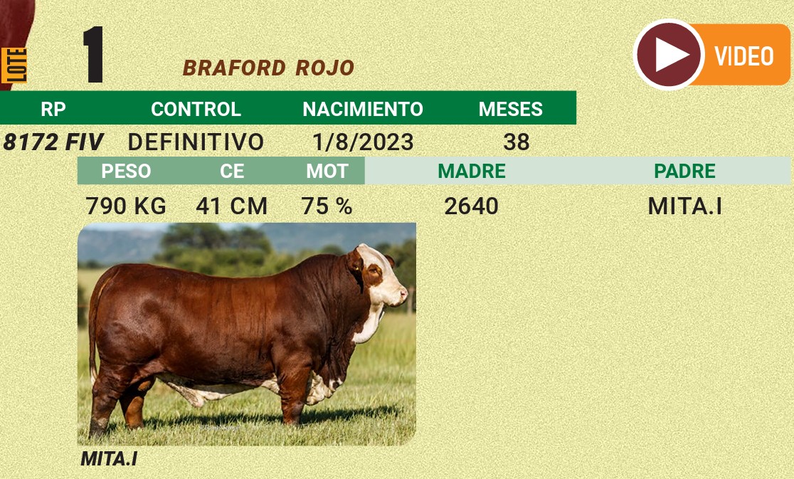 LOTE 01