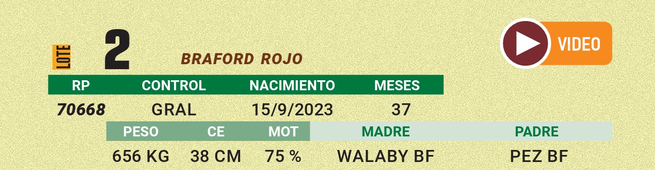 LOTE 02 - BRAFORD ROJO