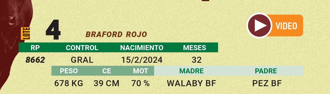 LOTE 04 - BRAFORD