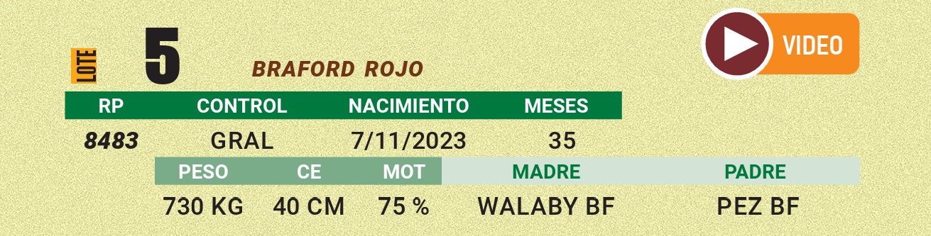 LOTE 05 - BRAFORD