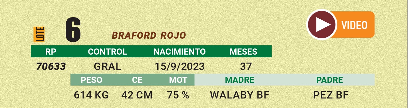 LOTE 06 - BRAFORD