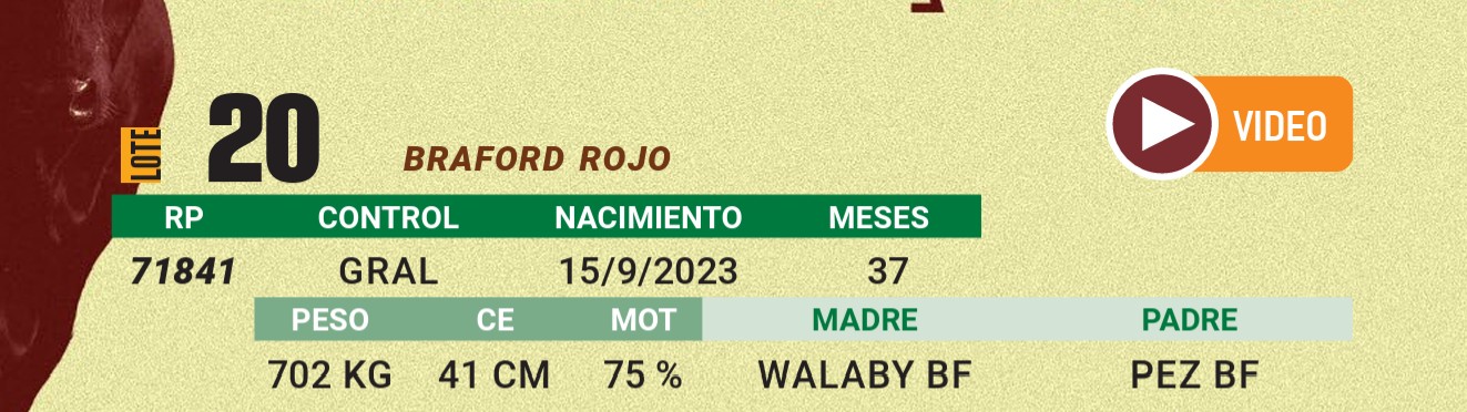 LOTE 20 - BRAFORD