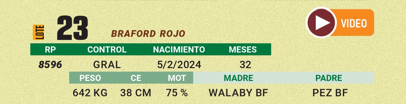 LOTE 23 - BRAFORD