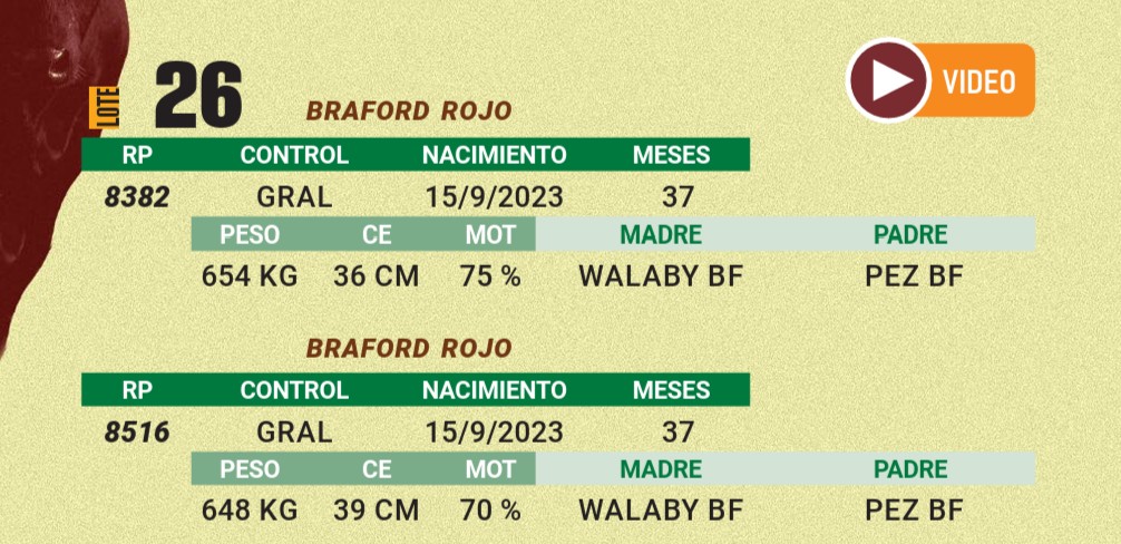 LOTE 26 - BRAFORD