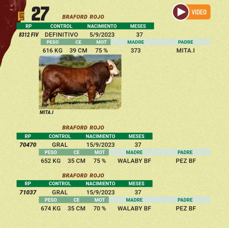 LOTE 27 - BRAFORD