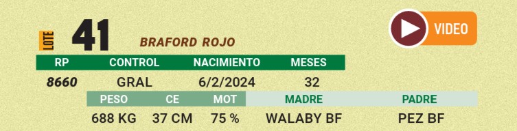 LOTE 41 - BRAFORD