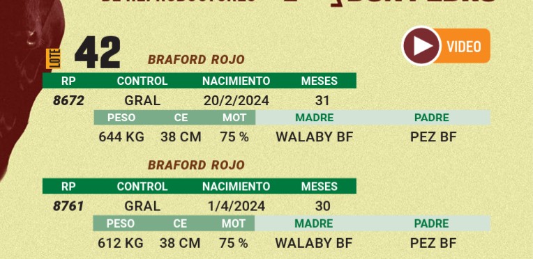 LOTE 42 - BRAFORD